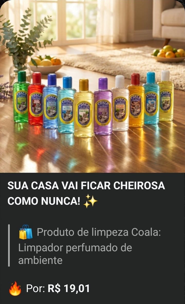 Promoção 13